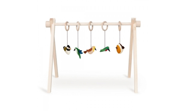 QUAX veiklos lankas BIRDS