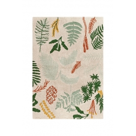 LORENA CANALS kilimas BOTANIC PLANTS