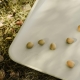 LEANDER vystymo lenta OLIVE