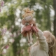 LITTLE DUTCH pliušinė lėlė FAIRY MILA PINK