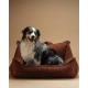 WIGIWAMA sėdmaišis šuniui PET CLUB WARM HAZEL L