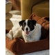 WIGIWAMA sėdmaišis šuniui PET CLUB WARM HAZEL L