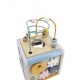 POLAR B lavinamasis kubas 5in1