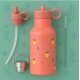 FRESK termogertuvė SUMMER FRUIT, 350 ml